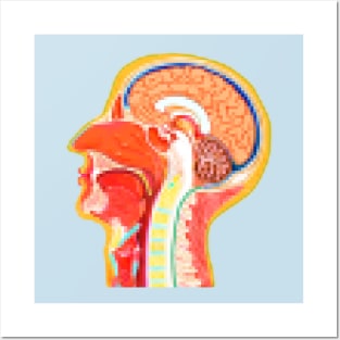 Human Anatomy- Pixelated Nasal Cavity Illustration Posters and Art